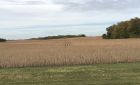 freeborn-county-mn-1.jpg